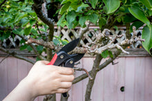 Load image into Gallery viewer, Arius Garden Ratchet Curved Anvil Pruner