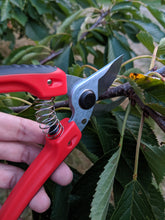 Load image into Gallery viewer, Arius Garden Bypass Pruners